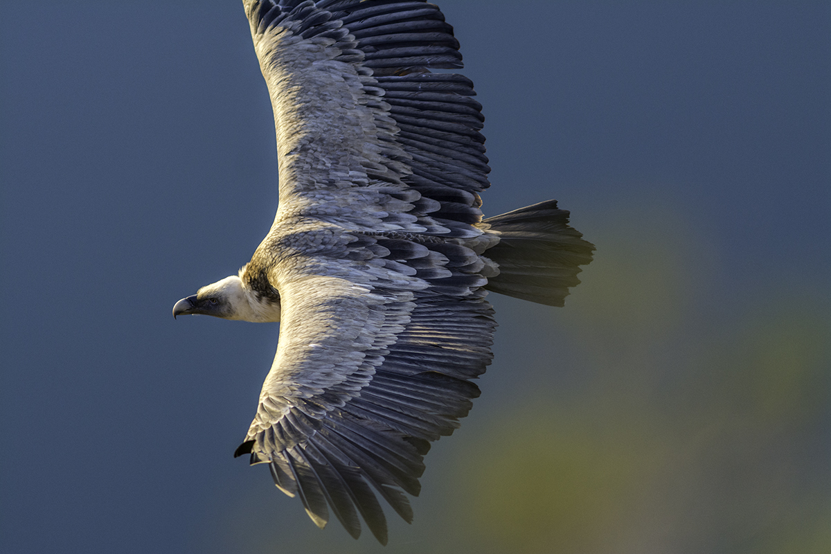 Deslizar el aire