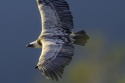 Deslizar el aire