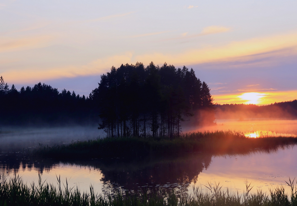 Koli National Park