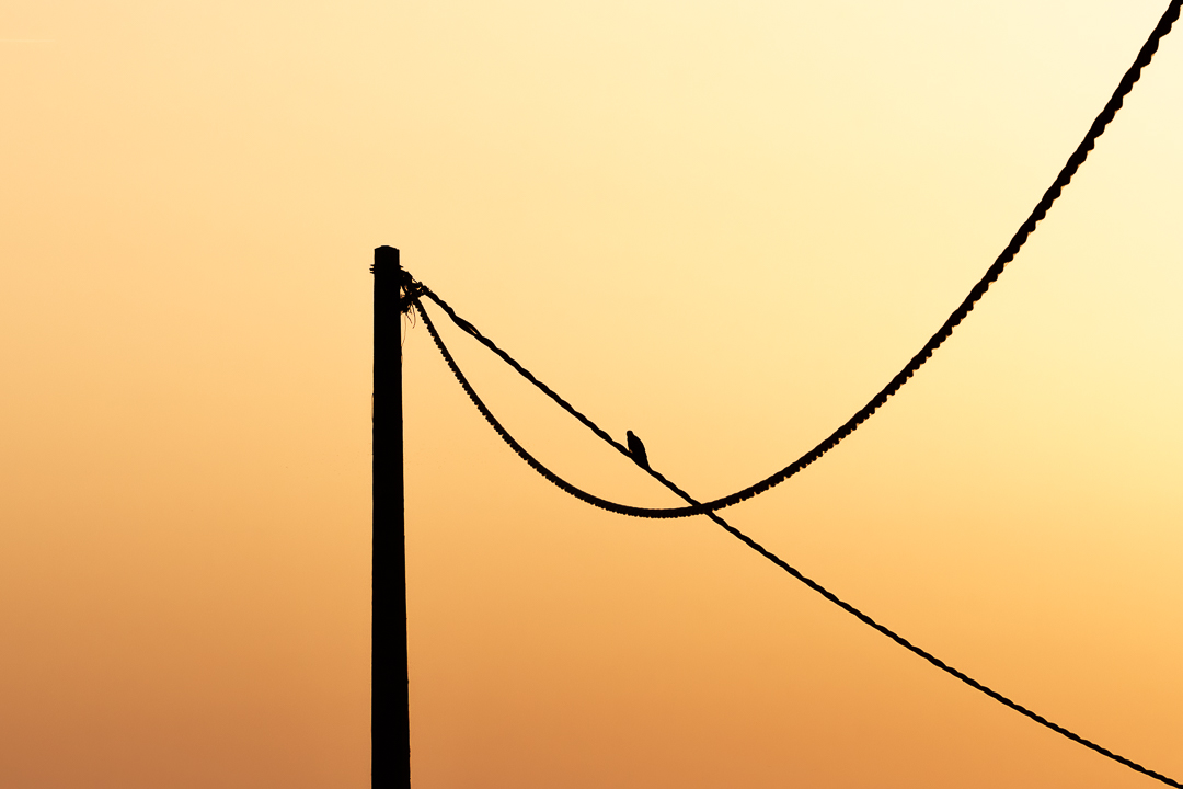 Cables y siluetas