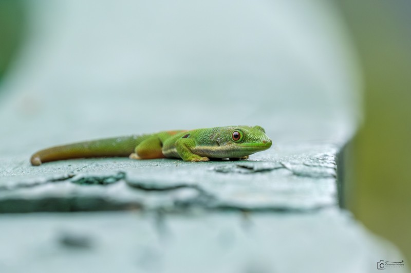 Una mirada...redonda