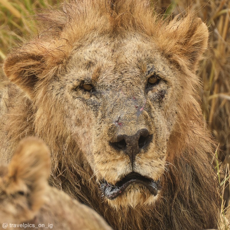 Retrato de una leyenda