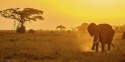 Amanecer africano
