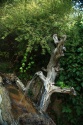Fuente