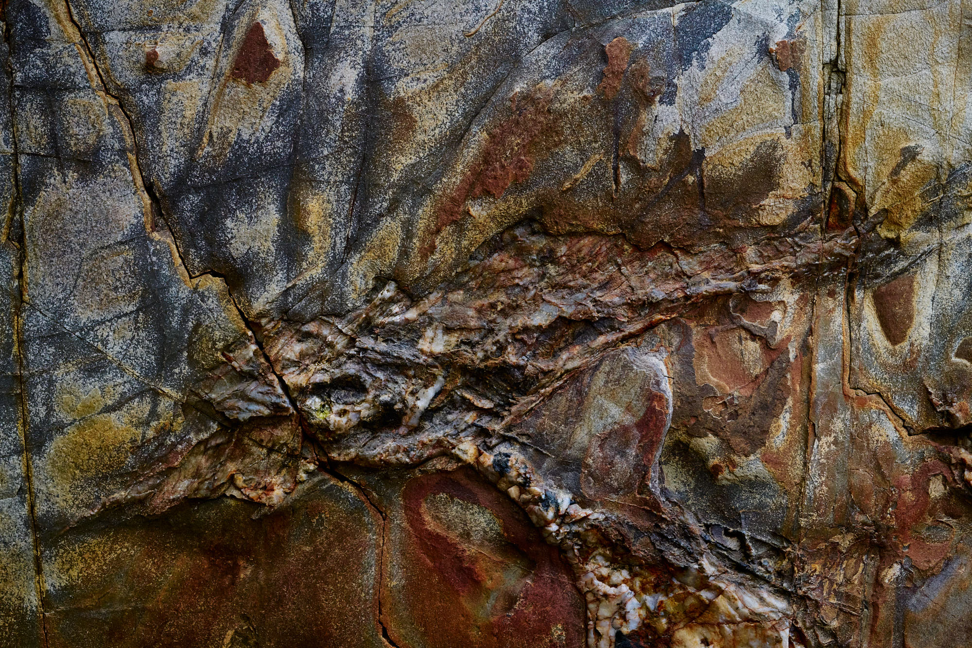 Un monstruo en la pared