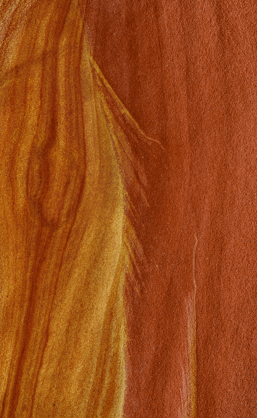 Colorido en la arenisca